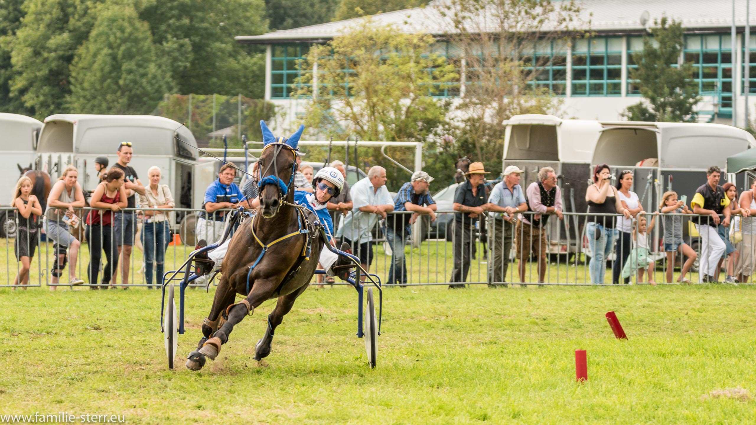Trabrennen in Erding 2017